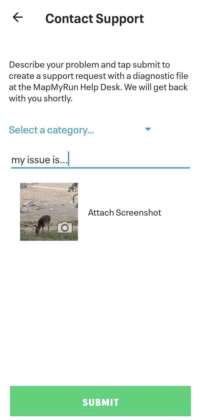 073a.jpeg